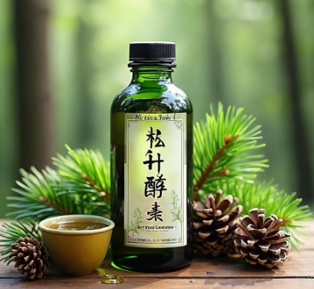 松针酵素的功效作用、制作方法