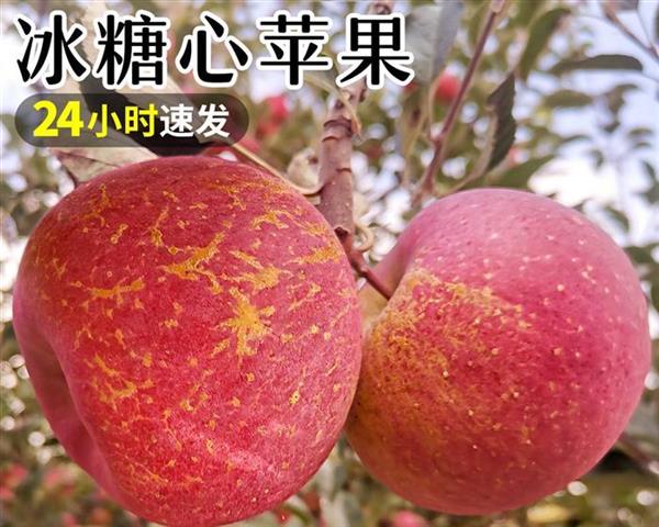 苹果减肥法,是否真的靠谱?
