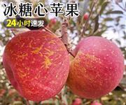 大凉山丑苹果
