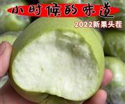 脆酸甜丑苹果